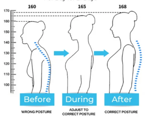 Adjustable Men And Women Posture Support V2